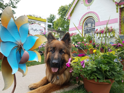 Florist «The Ruffly Rose», reviews and photos, 1611 S Pearl St, Denver, CO 80210, USA