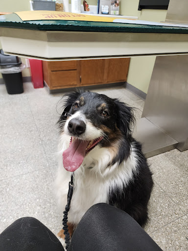 Noah's Brandywine Animal Hospital image