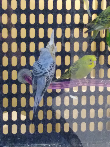 Pet Supply Store «PetSmart», reviews and photos, 355 Howe Ave, Cuyahoga Falls, OH 44221, USA