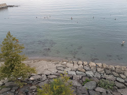 Surmene Voha Beach'in fotoğrafı ve yerleşim