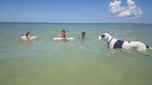 Veterinarian «PetCoral Resort and Veterinary», reviews and photos, 924 Del Prado Blvd, Cape Coral, FL 33990, USA