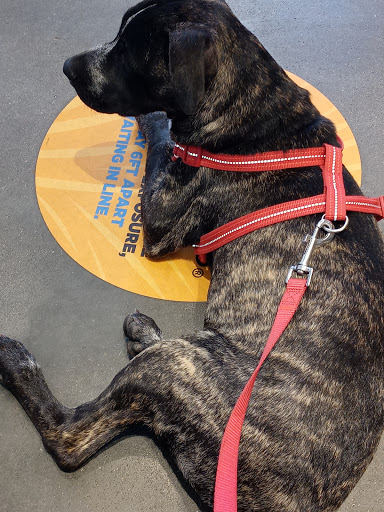 Pet Supply Store «Petco Animal Supplies», reviews and photos, 4013 W Walnut St, Rogers, AR 72756, USA