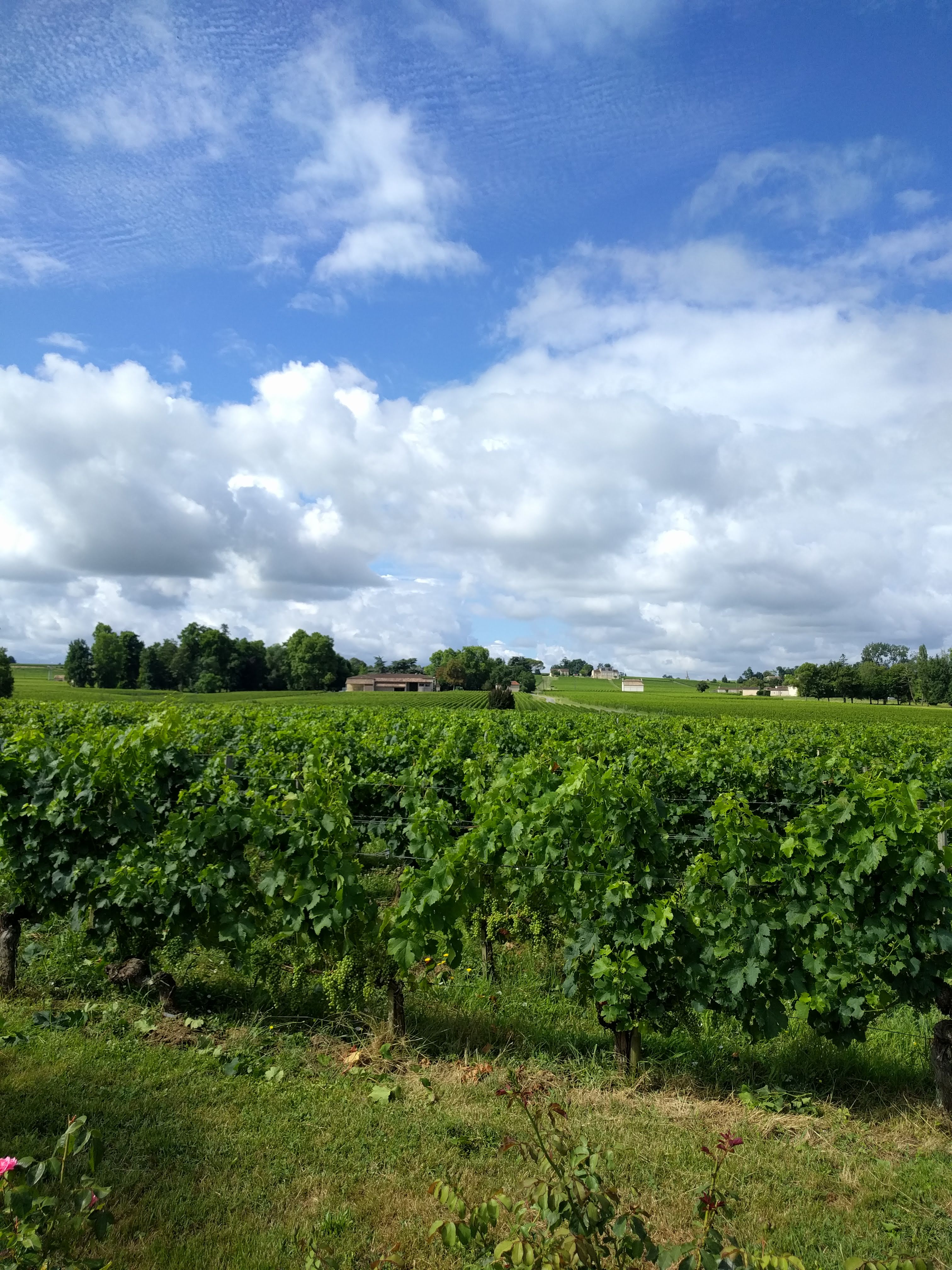 Photo n° 2 de l'avis de Antoine.a fait le 24/08/2018 à 15:48