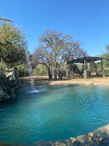 African Savanna at Fort Worth Zoo image 3
