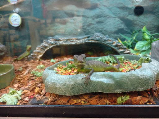 Pet Supply Store «Petco Animal Supplies», reviews and photos, 18578 Coastal Hwy #12, Rehoboth Beach, DE 19971, USA