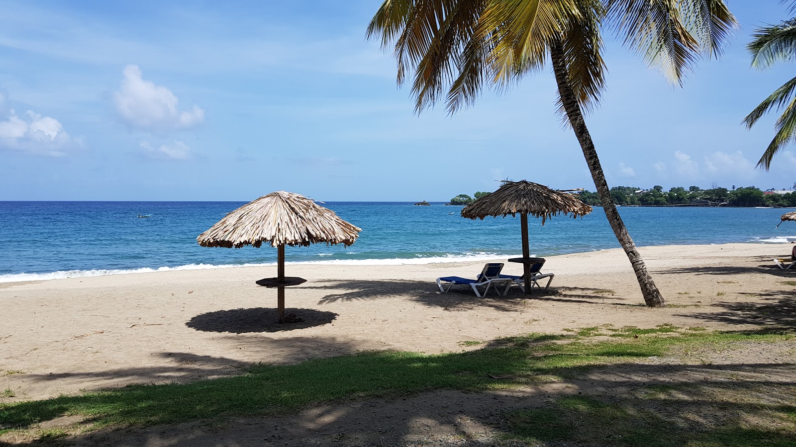 Great Courland Bay beach的照片 带有碧绿色纯水表面