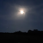 Photo n°1 de l'avis de Stefania.a fait le 18/06/2019 à 13:49 sur le  Az.Agricola Helix Valdera à Toiano