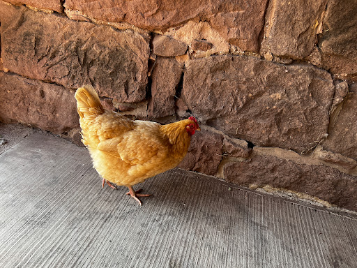 Winery «Rocklands Farm», reviews and photos, 14525 Montevideo Rd, Poolesville, MD 20837, USA