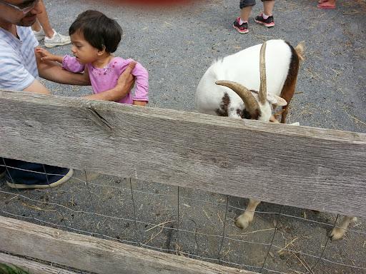 Golf Course «Fairway Hills Golf Course», reviews and photos, 5100 Columbia Rd, Columbia, MD 21044, USA