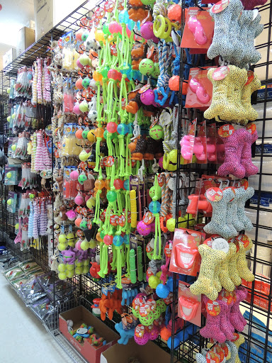 Party Store «Dollar or Two, Inc», reviews and photos, 943 Paoli Pike, West Chester, PA 19380, USA