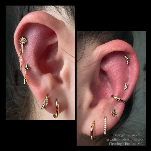 Explore nature tattoo ideas, creative tattoo ideas in Boston, available at Arcadia Body Piercing