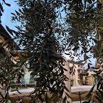 Photo n°1 de l'avis de Julian.t fait le 10/06/2016 à 18:54 sur le  Ristorante La Cambusa à Malcesine