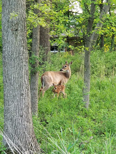 Golf Course «Edgebrook Golf Course», reviews and photos, 6100 N Central Ave, Chicago, IL 60646, USA