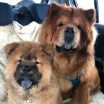 Photo n°1 de l'avis de Kim.a fait le 09/05/2019 à 05:06 sur le  Zum Nordpol à Schenefeld