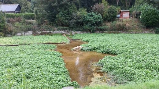 Photo n° 9 de l'avis de Christophe.e fait le 26/09/2018 à 05:33