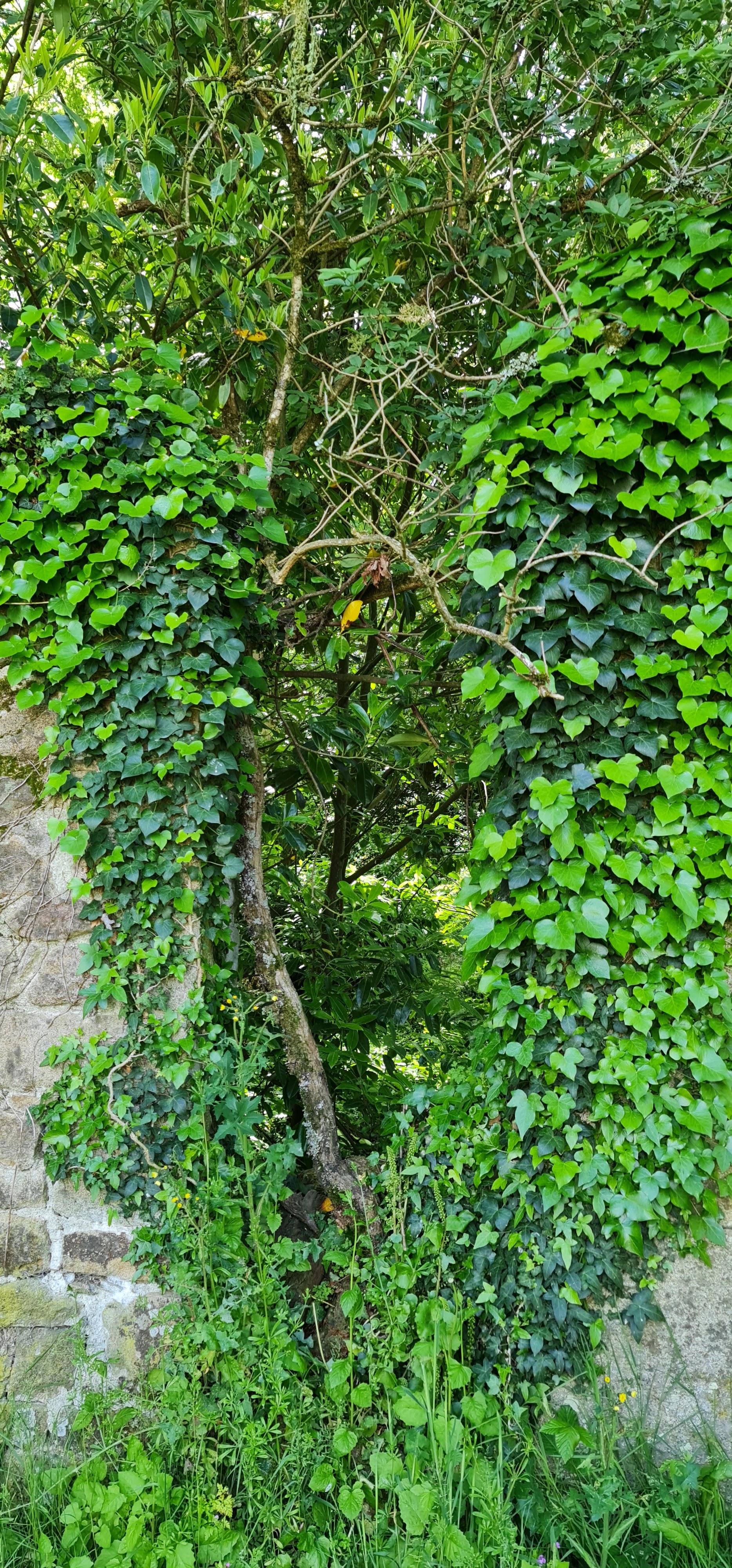 Photo n° 3 de l'avis de Véronique.o fait le 25/05/2021 à 11:28