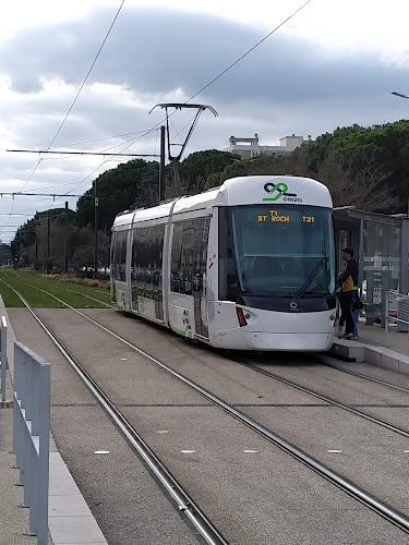 Station Trillade - Médiathèque - Ligne T1 Tram du Grand Avignon à Avignon
