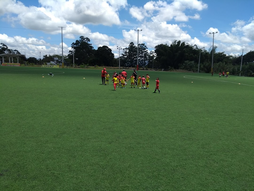 Cancha Futbol Asociación