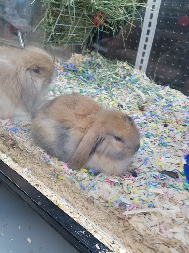 Pet Supply Store «Village Pets & Supply», reviews and photos, 4213 Montgomery Dr, Santa Rosa, CA 95405, USA