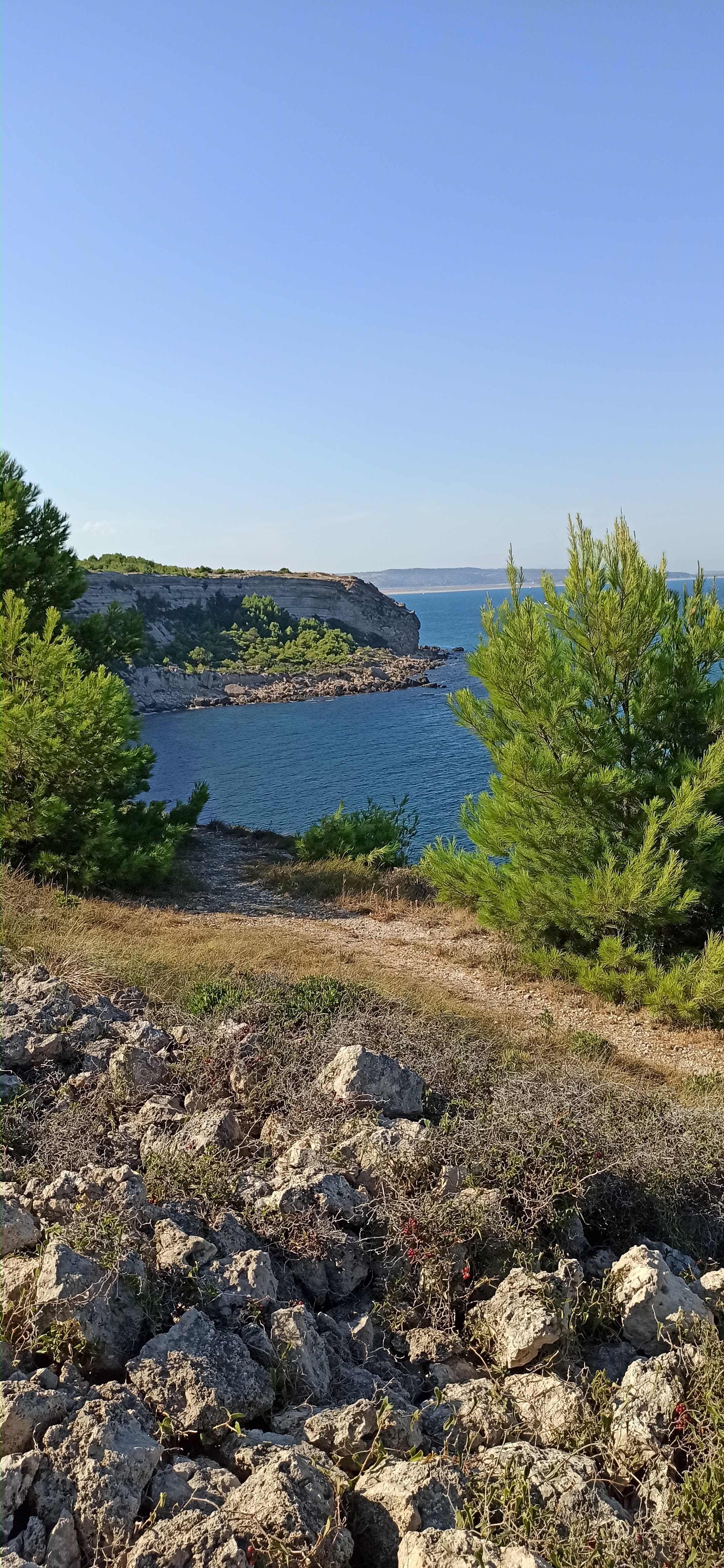 Photo n° 2 de l'avis de Marc.a fait le 01/09/2022 à 17:41