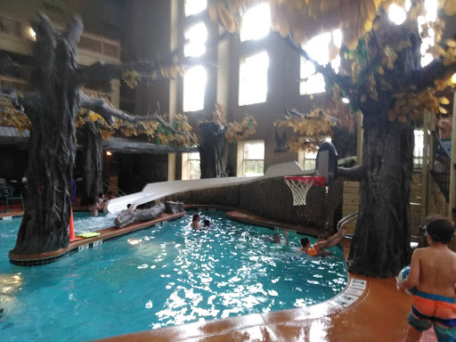 Water Park «Crawdaddy Cove Indoor Water Park», reviews and photos, 1109 Fourier Dr, Madison, WI 53717, USA