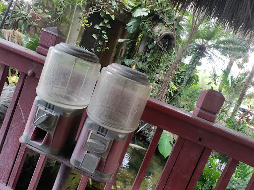 Landscape Designer «Santa Barbara Nursery», reviews and photos, 20425 SW 177th Ave, Miami, FL 33187, USA