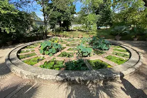 The Upper Botanical Garden image