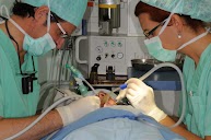 Dr. Ruiz Villandiego. Odontología y Estomatología. Hospital Quirón Donostia