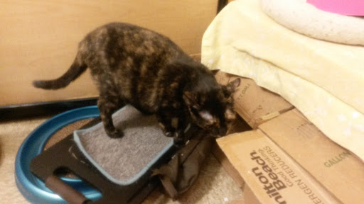 Pet Supply Store «PetSmart», reviews and photos, 400 Mill Creek Dr, Secaucus, NJ 07094, USA