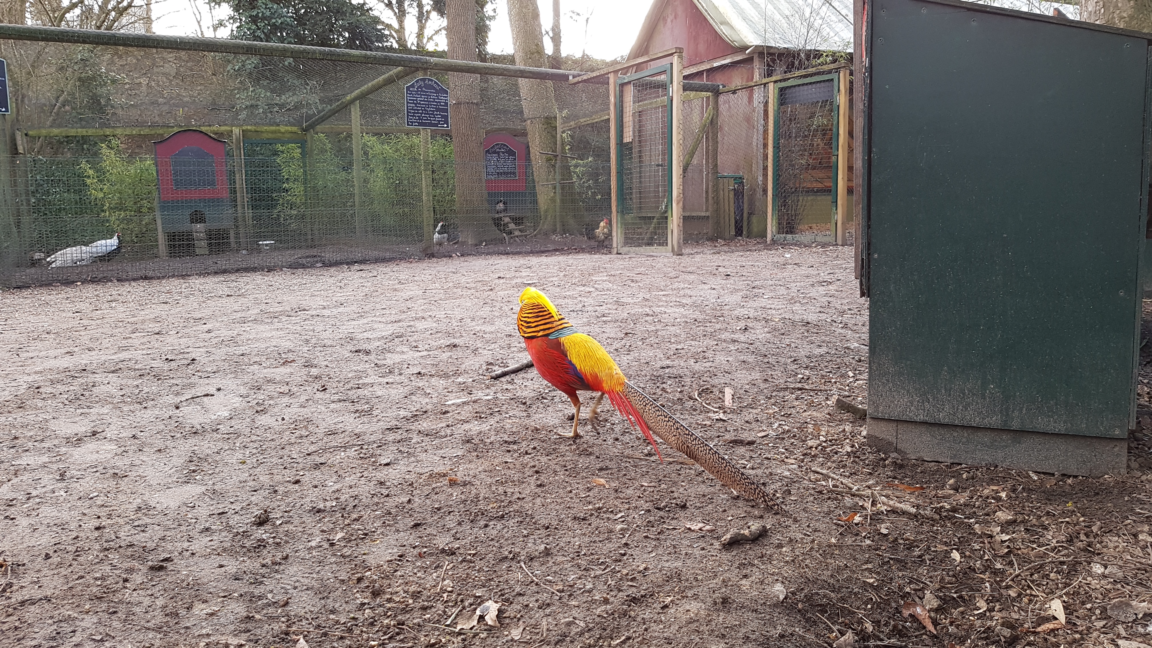 Photo n° 3 de l'avis de Alexis.o fait le 28/01/2017 à 16:46