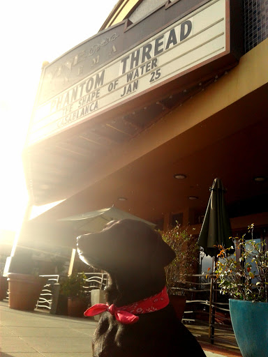 Movie Theater «Vine Cinema LLC», reviews and photos, 1722 First St, Livermore, CA 94550, USA
