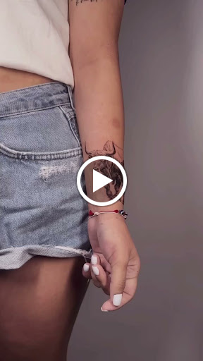 Find dragon tattoo ideas for your next unique tattoo in Kissimmee at Fallen Sparrow Tattoo Co