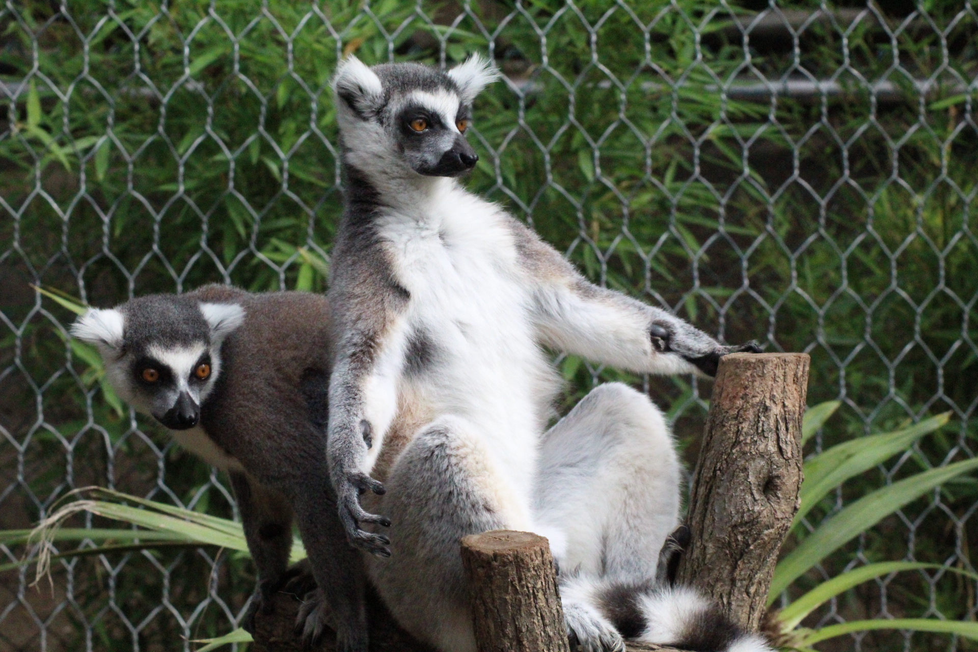 Photo n° 34 de l'avis de David.i fait le 18/11/2019 à 20:29