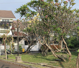 Cluster Tropical Park View Bukit Cimanggu City photo