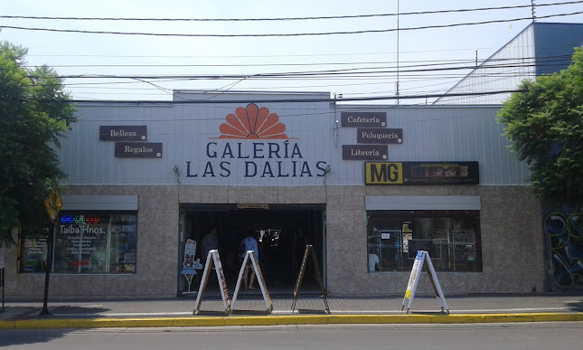 Galeria Las Dalias - Puente Alto