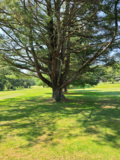 Golf Club «Grassy Creek Golf & Country Club», reviews and photos, 2360 Swiss Pine Lake Dr, Spruce Pine, NC 28777, USA