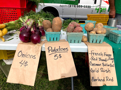 Just Food Farm Stand - local and organic
