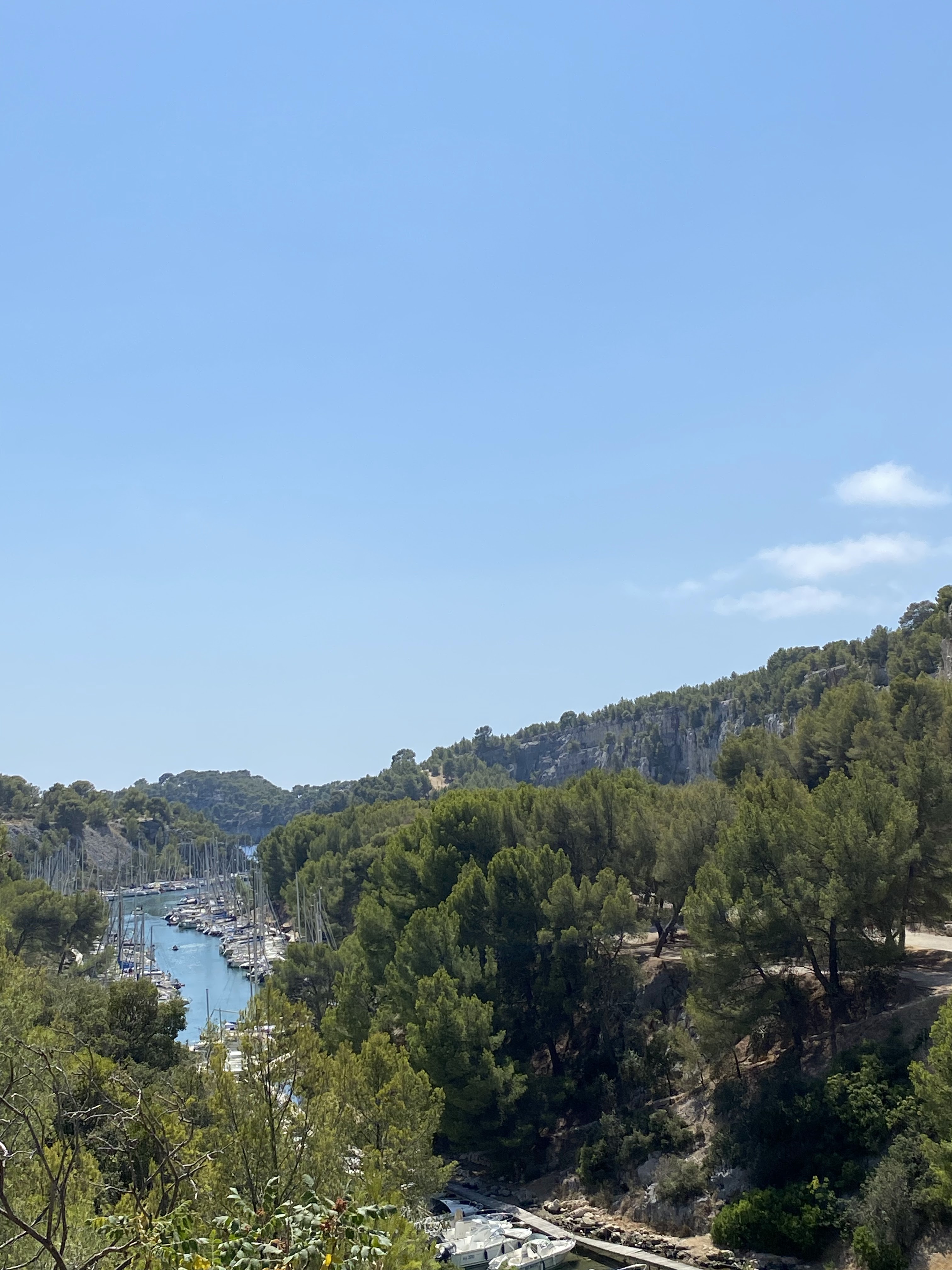 Photo n° 1 de l'avis de Louis.. fait le 21/08/2023 à 12:31