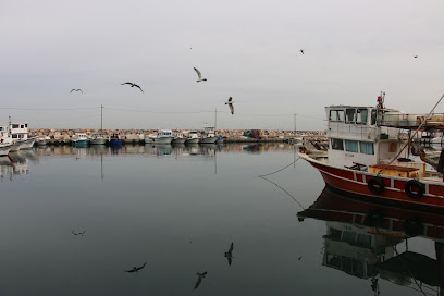 1. Balıkçı Limanı