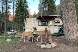Lodgepole Campground image