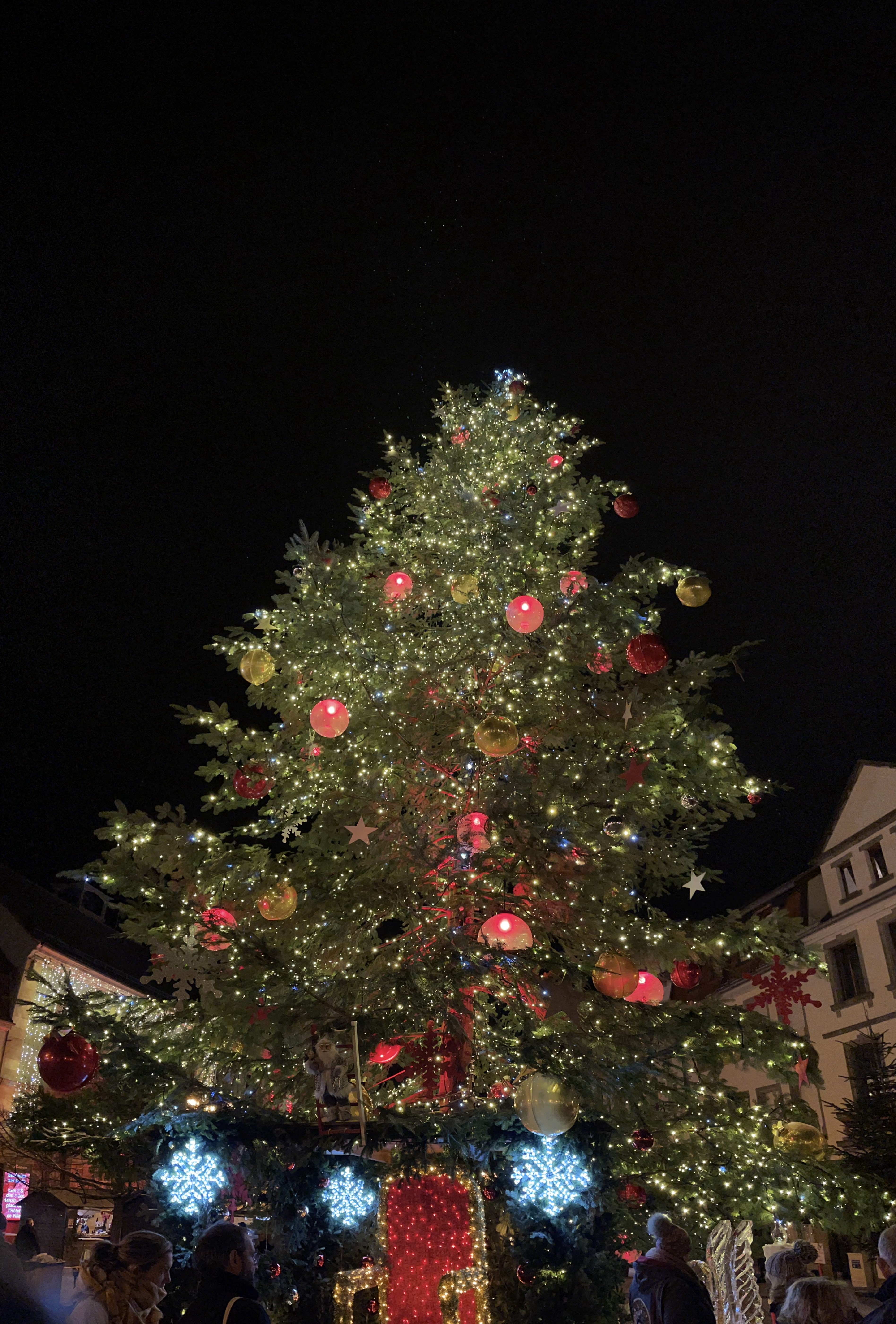 Photo n° 4 de l'avis de Nassima.j fait le 02/12/2023 à 22:24