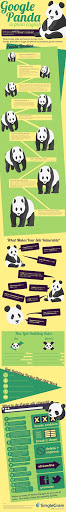 California SEO Professionals - Digital Marketing Agency image