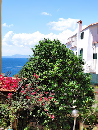 Photo Casa vacanza Mediterranea Apartments 80062 Meta