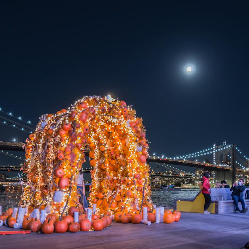 Health Insurance Agency «安心医保 Safe Policies Life & Health Insurance», reviews and photos