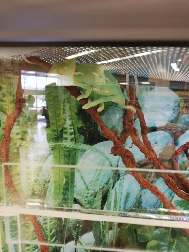 Pet Supply Store «Petco Animal Supplies», reviews and photos, 4540 Princess Anne Rd #128, Virginia Beach, VA 23462, USA