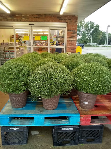 Grocery Store «IGA Foodliner», reviews and photos, 524 N High St, Rising Sun, IN 47040, USA