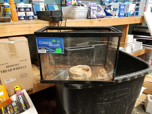 Pet Store «Pet Land», reviews and photos, 1450 Fort Campbell Blvd, Clarksville, TN 37042, USA