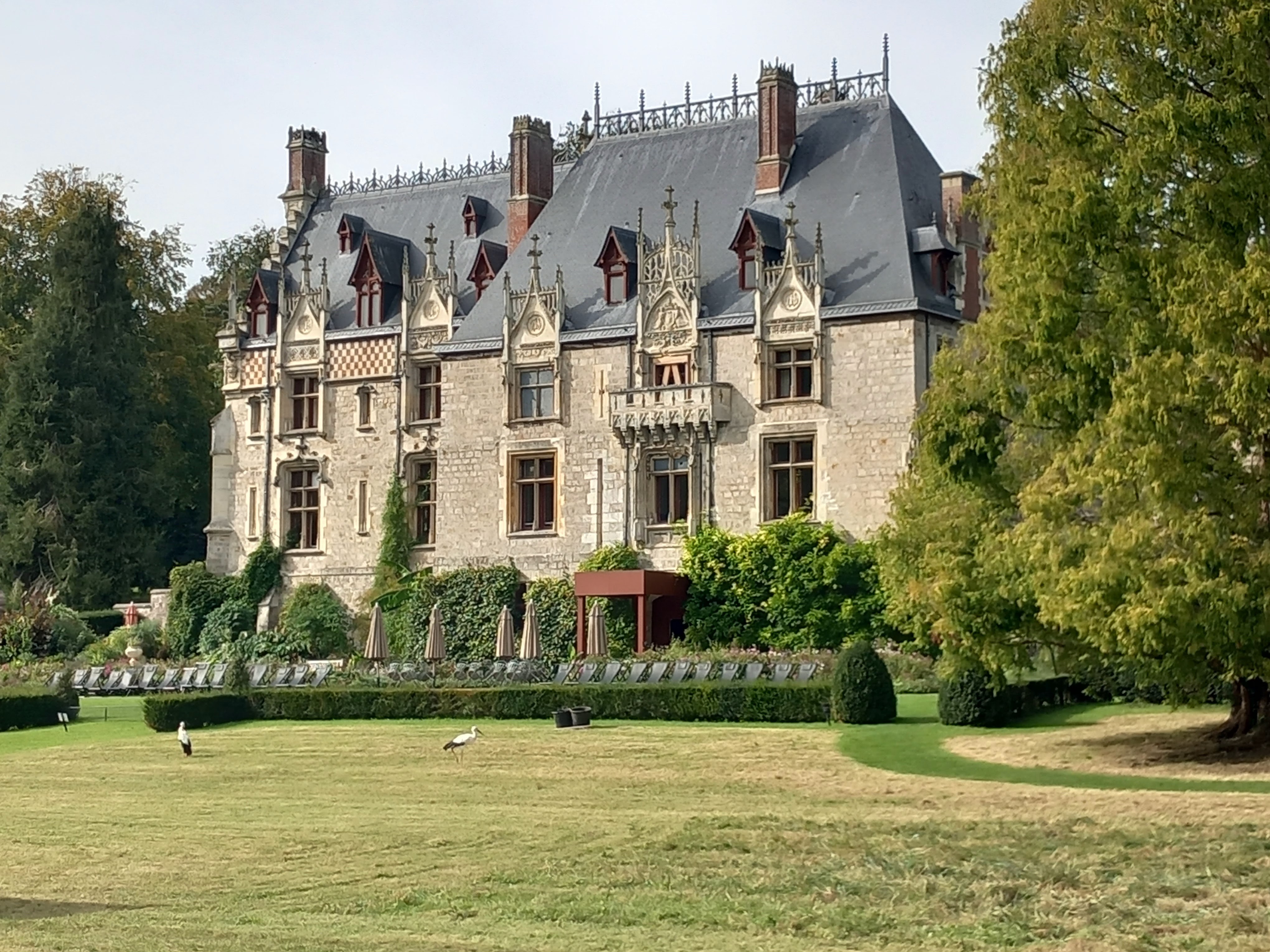 Photo n° 44 de l'avis de Julien.a fait le 11/10/2023 à 18:47