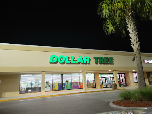 Dollar Store «Dollar Tree», reviews and photos, 21525 Village Lakes Shopping Center Dr, Land O Lakes, FL 34639, USA