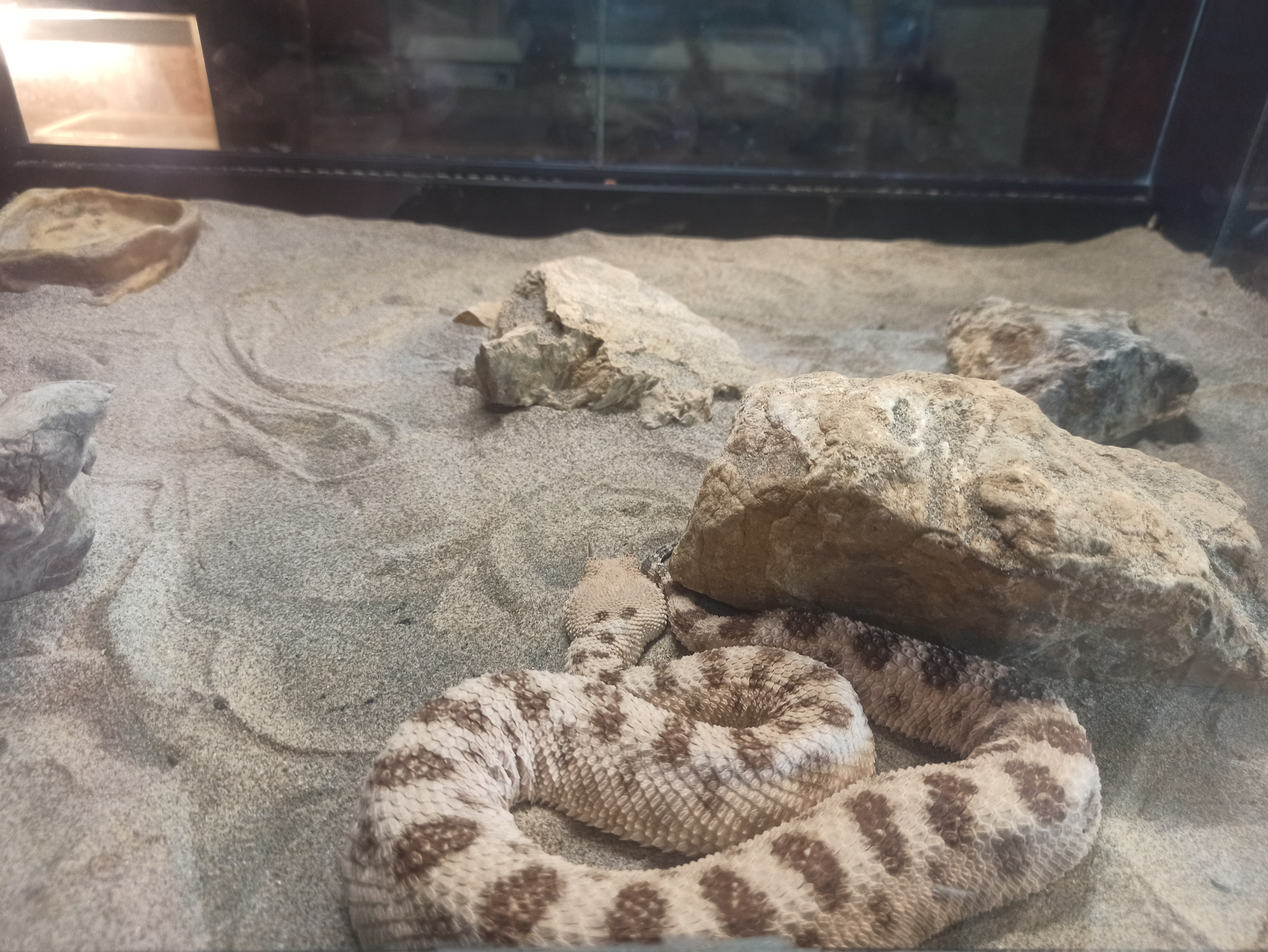 Photo n° 4 de l'avis de Julien.r fait le 21/08/2021 à 09:12